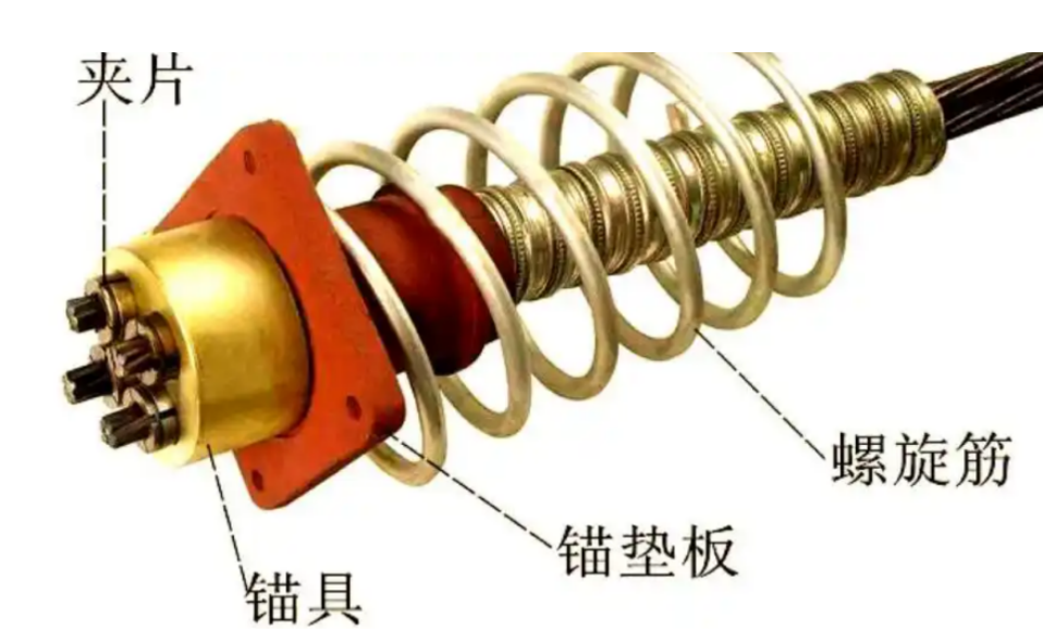 11a4eb6d-2dcc-4ee6-8703-15c8d261c88f